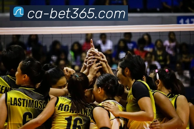 bet365平台生态图